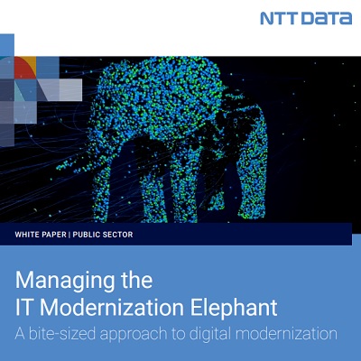 Managing the IT Modernization Elephant A bite-sized approach
