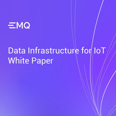 Data Infrastructure for IoT White Paper